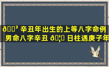 🐳 辛丑年出生的上等八字命例「男命八字辛丑 🦅 日柱遇庚子年」